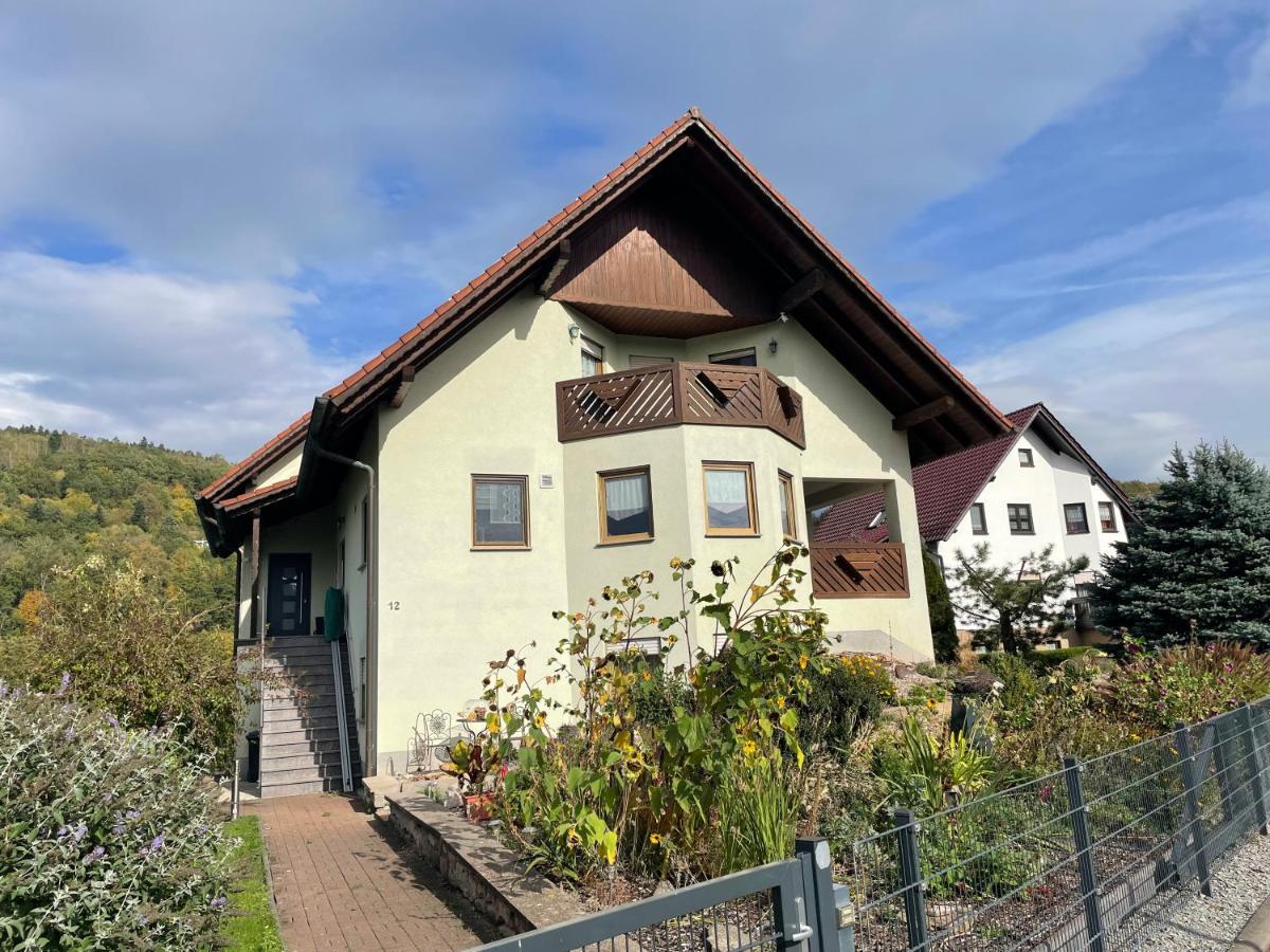 Ferienwohnung Fam.Werner Wasungen Экстерьер фото